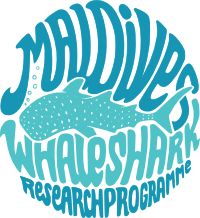 Maldives Whale Shark Research Programme